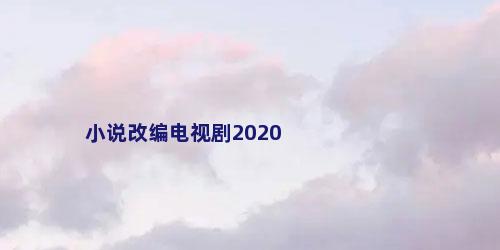 小说改编电视剧2020