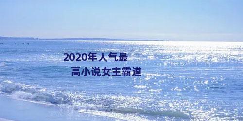 2020年人气最高小说女主霸道