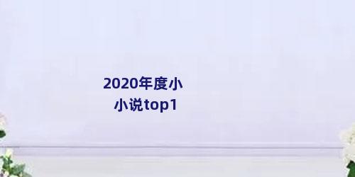 2020年度小小说top1