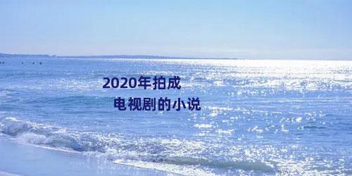 2020年拍成电视剧的小说