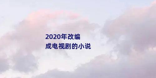 2020年改编成电视剧的小说