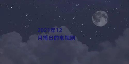 2021年12月播出的电视剧