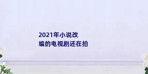 2021年小说改编的电视剧还在拍