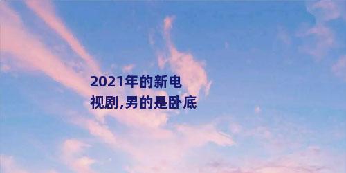 2021年的新电视剧,男的是卧底