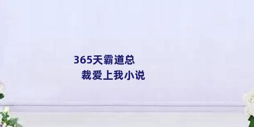 365天霸道总裁爱上我小说