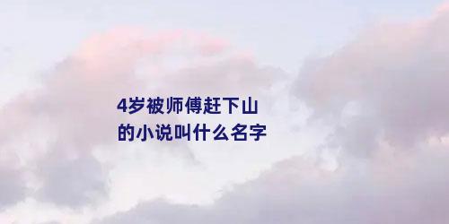 4岁被师傅赶下山的小说叫什么名字