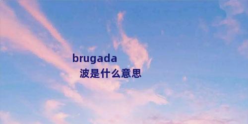 brugada波是什么意思