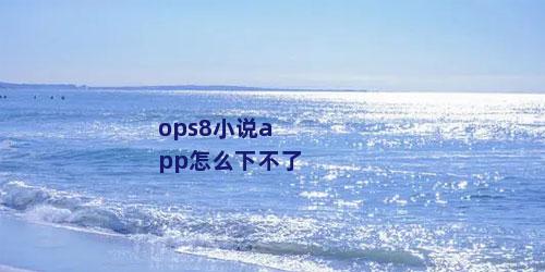 ops8小说app怎么下不了