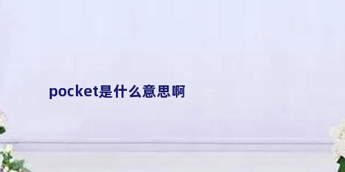 pocket是什么意思啊