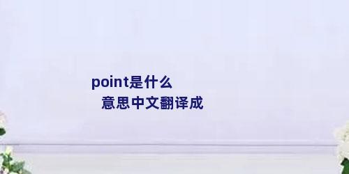 point是什么意思中文翻译成