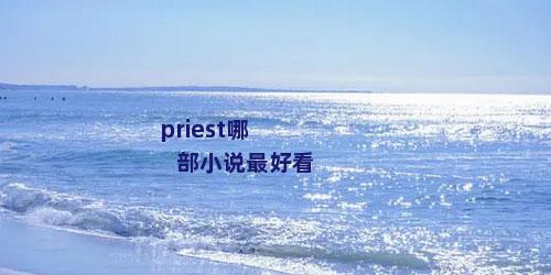 priest哪部小说最好看