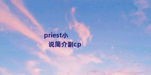 priest小说简介副cp