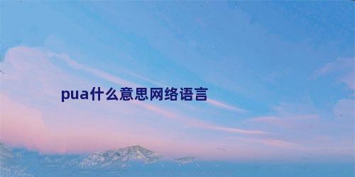 pua什么意思网络语言