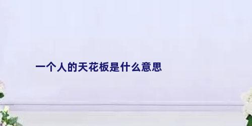一个人的天花板是什么意思