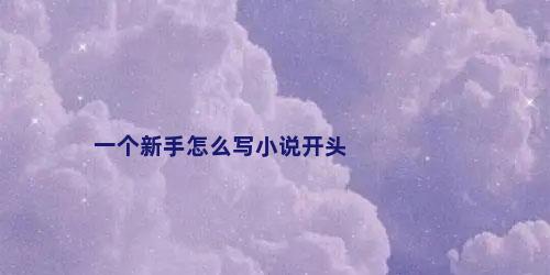 一个新手怎么写小说开头