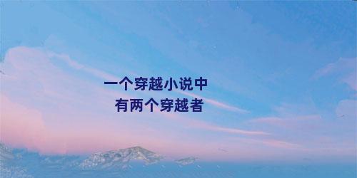 一个穿越小说中有两个穿越者
