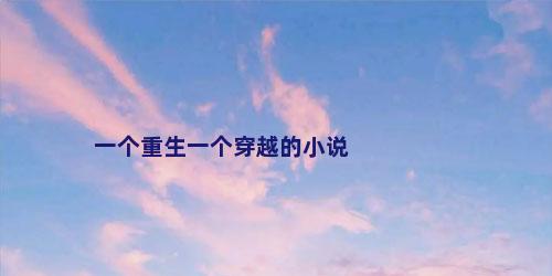 一个重生一个穿越的小说