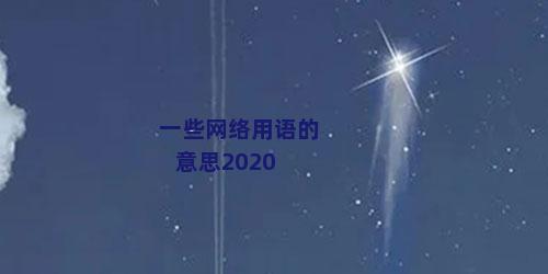 一些网络用语的意思2020