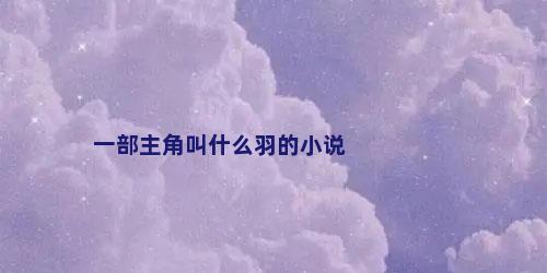 一部主角叫什么羽的小说