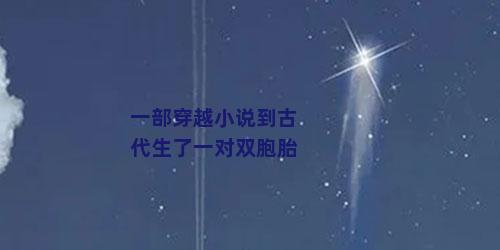 一部穿越小说到古代生了一对双胞胎