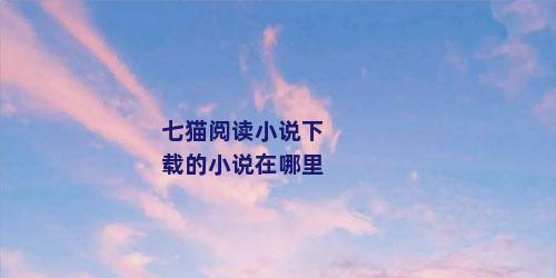 七猫阅读小说下载的小说在哪里