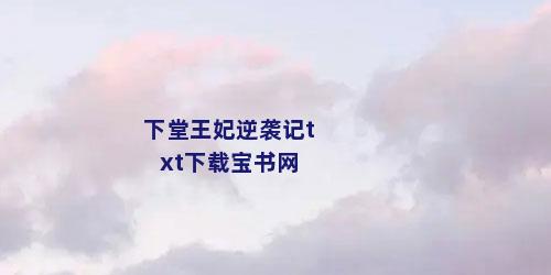 下堂王妃逆袭记txt下载宝书网