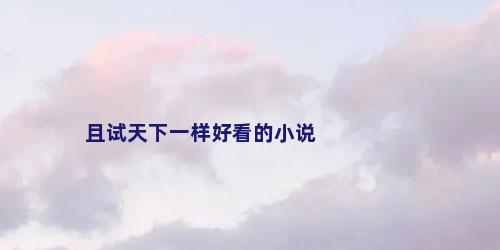 且试天下一样好看的小说