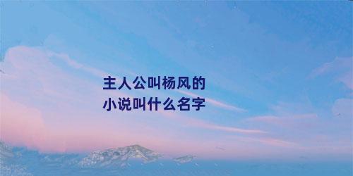 主人公叫杨风的小说叫什么名字