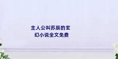 主人公叫苏辰的玄幻小说全文免费