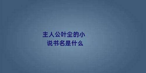 主人公叶尘的小说书名是什么