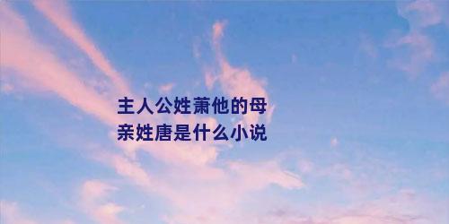 主人公姓萧他的母亲姓唐是什么小说