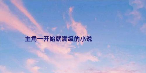 主角一开始就满级的小说