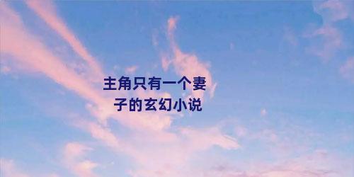 主角只有一个妻子的玄幻小说