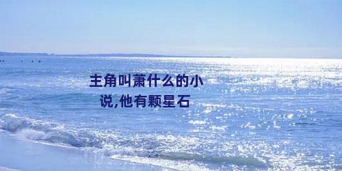 主角叫萧什么的小说,他有颗星石