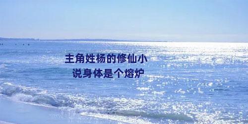 主角姓杨的修仙小说身体是个熔炉