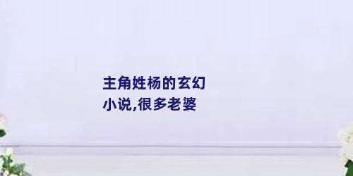 主角姓杨的玄幻小说,很多老婆