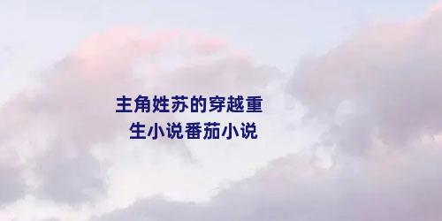 主角姓苏的穿越重生小说番茄小说