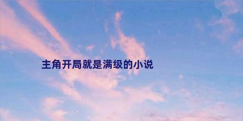 主角开局就是满级的小说