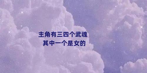 主角有三四个武魂其中一个是女的
