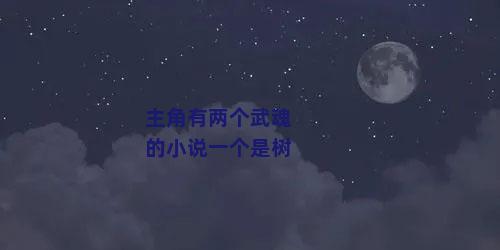 主角有两个武魂的小说一个是树
