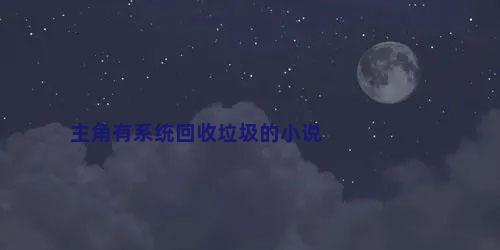主角有系统回收垃圾的小说