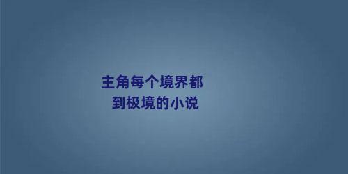 主角每个境界都到极境的小说