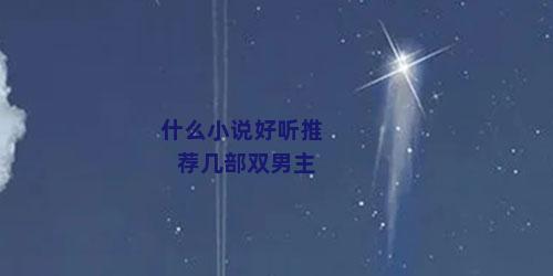 什么小说好听推荐几部双男主