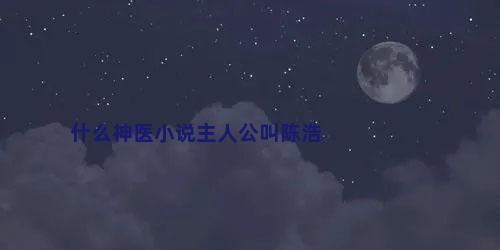 什么神医小说主人公叫陈浩