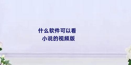 什么软件可以看小说的视频版