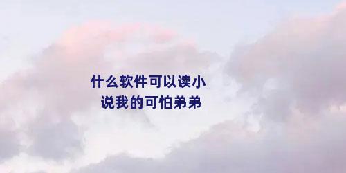 什么软件可以读小说我的可怕弟弟