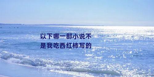 以下哪一部小说不是我吃西红柿写的