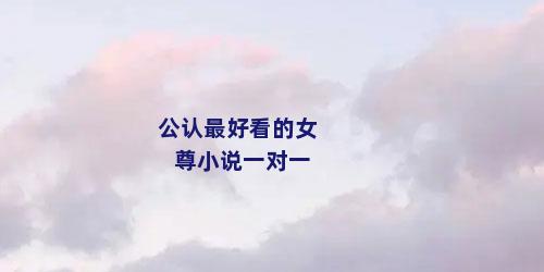 公认最好看的女尊小说一对一
