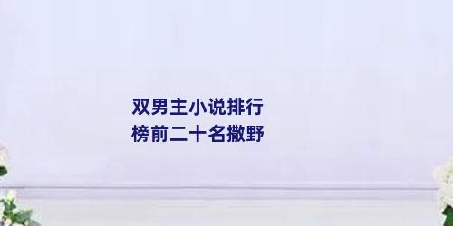 双男主小说排行榜前二十名撒野