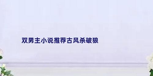 双男主小说推荐古风杀破狼
